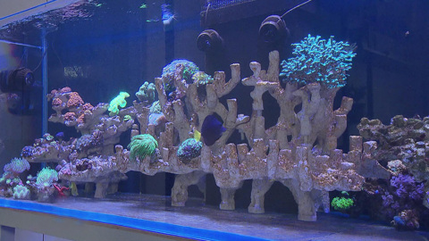 Вести-Москва. Эфир от 20.12.2021