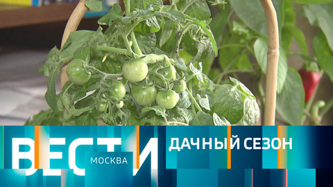 Вести-Москва. Эфир от 15.04.2022 (21:05)