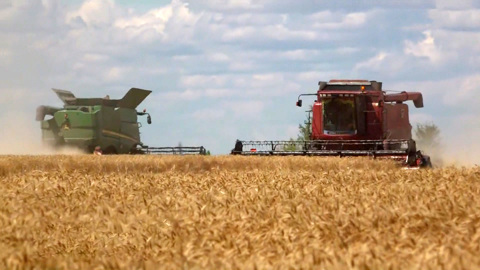 ЛНР обещает бизнесу максимально лояльное отношение