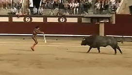 Корриду вновь разрешили в Каталонии