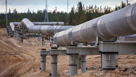 Чехия ждет возобновления поставок нефти по "Дружбе"