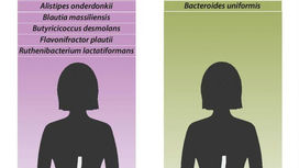 Виды бактерий, которые были обнаружены в больших количествах у пациентов с фибромиалгией (слева), по сравнению с видами бактерий, которые были найдены в больших количествах у здоровых людей (справа).