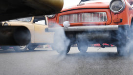 Специалисты пришли к выводу, что некоторые автомобильные выбросы могут негативно повлиять на зрение.
