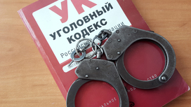 Убивший домашнего питомца сожительницы москвич стал фигурантом дела