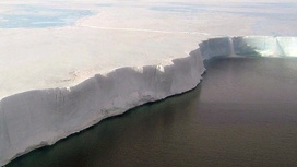 Под антарктическим льдом обнаружен столб магмы