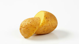 Генетики "озолотили" картошку