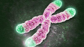 Минздрав разрешил исследования препарата против "поломки" гена SMN1
