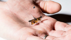 Инженеры создали первого робота-муху с питанием от лазерного луча