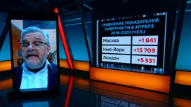 Западные СМИ обвиняют Россию в занижении реальной коронавирусной статистики