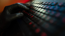 На атаки украинской киберармии пожаловались в Европе