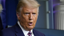 Трамп отверг утверждения "идиота", что был мягок с Россией