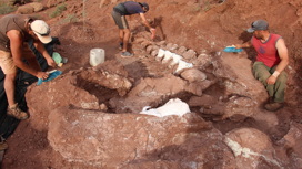 Палеонтологи продолжают раскопки, надеясь извлечь полный скелет колосса.