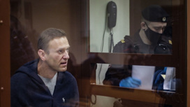 Омбудсмен: у "гражданских" врачей нет опасений по поводу здоровья Навального