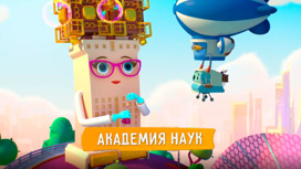 Академия наук Серия 20