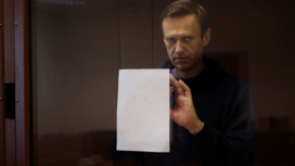 Приговор Навальному по делу о клевете признали законным