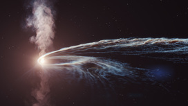 Астрономы зафиксировали уничтожение звезды чёрной дырой.