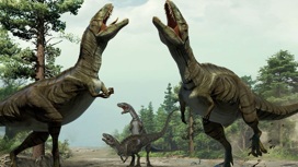 Невероятно: тираннозавры жили стаями?