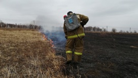 Риск возникновения природных пожаров в регионах РФ значительно возрастет