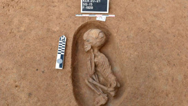 В могилах были обнаружены останки как взрослых, так и детей.