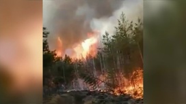 Жители регионов приходят на помощь в тушении лесных пожаров