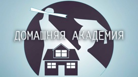 Домашняя академия