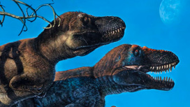 Не такие уж и хладнокровные: динозавры жили и размножались в Арктике