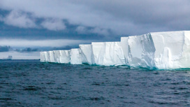Антарктический ледовый щит содержит в себе 90% всей пресной воды Земли. Он способен поднять уровень моря на целых 60 метров, если растает полностью.