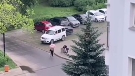 "Манящая мусорка": липчанин украл городскую урну
