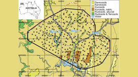 Территория Северной Канберры, для которой была составлена карта почв. Область исследования очерчена сплошной черной линией. Крестиками отмечены 268 участков площадью в один квадратный километр