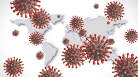 У исследователей пока недостаточно информации о том, как взаимодействуют между собой разные штаммы коронавируса, попав в один организм.