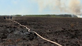 Лесной пожар в Краснокамском городском округе ликвидирован
