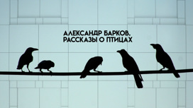 Александр Барков. Рассказы о птицах