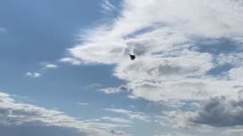 Су-57 под управлением Сергея Богдана вертикально завис в воздухе