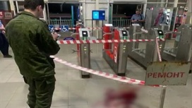 Поножовщина в Подмосковье: контролер трижды ударил ножом мужчину без билета