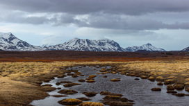Изменение климата Арктики постепенно делает этот регион пригодным для сельского хозяйства. Однако непродуманный процесс освоения северных земель может привести к уничтожению их уникальной экосистемы.