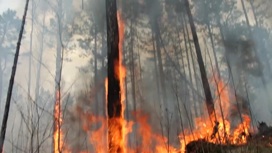 Пожары в Якутии: клубы огня и дыма видно за десятки километров
