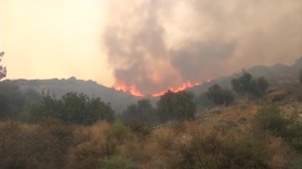 Лесные пожары вплотную подошли к электростанции города Кемер в Турции