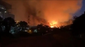 В Турции лесной пожар перекинулся на электростанцию