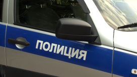 Петербургские школьники совершили разбойное нападение на метеоролога