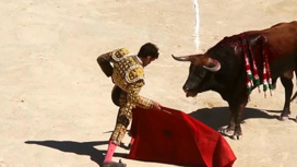 В Хихоне запретили традиционную корриду из-за неполиткорректных кличек быков
