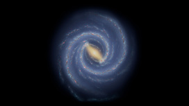 Так видят современные астрономы крупномасштабную структуру Млечного Пути. Звезды и их скопления сгруппированы в спиральные рукава.