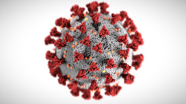 Одной из причин пандемии COVID-19 считается высокая контагиозность вируса SARS-CoV-2 (его способность передаваться от больного организма здоровому).