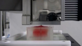Редчайший вид говядины впервые создан с помощью 3D-печати