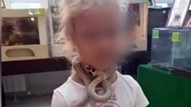 Змея напала на ребенка в контактном зоопарке в Екатеринбурге