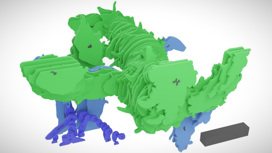 3D-реконструкция показывает ветвистый побег (показан зелёным цветом) и корневую систему (синим и фиолетовым).