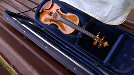 В Санкт-Петербурге откроется Пятая всероссийская выставка скрипичных мастеров