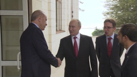 Путин и Эрдоган обсудили энергетику, газ, безопасность и "Спутник V"