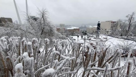 Снежный шторм оставил без света десятки людей в Приморье