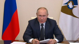 Путин хочет расширить географию проекта "Путешествуй без COVID-19"