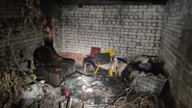 Зарубил и сжег: жестокое убийство двух мужчин в Сызрани